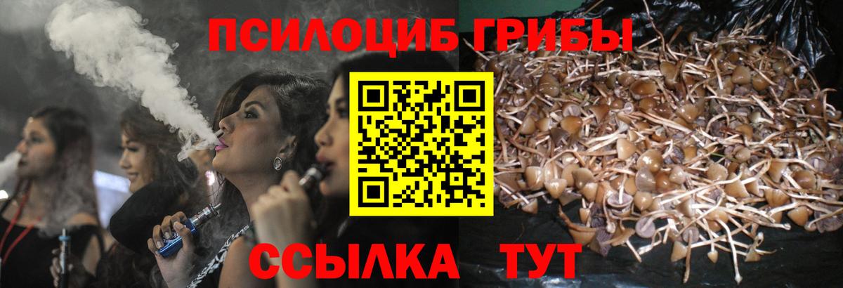 Псилоцибиновые грибы мицелий  Вход с VPN  Псилоцибиновые грибы GOLDEN TEACHER  Карталы 